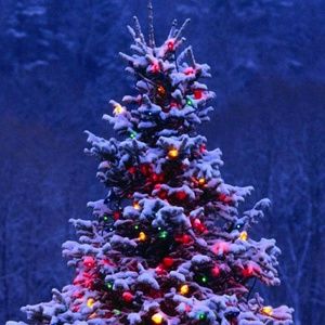 Meet your Posher, Rita